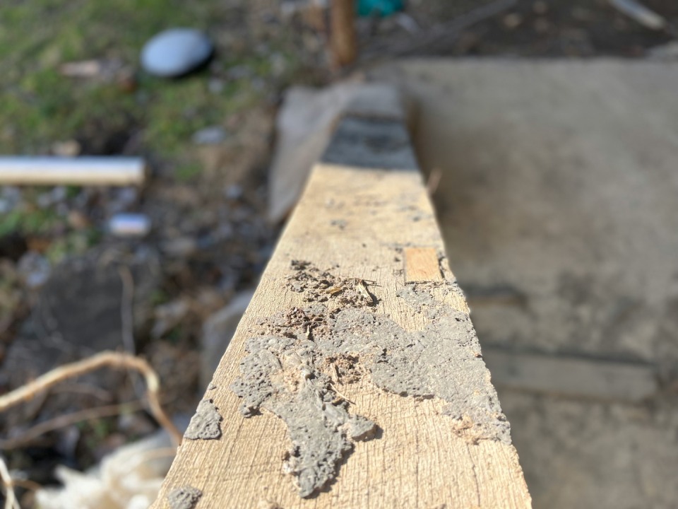 Holz mit Schmutz und Staub
