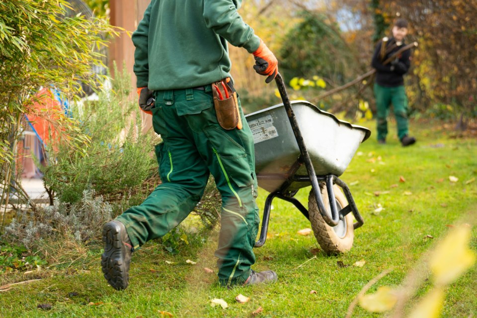 Gärtner mit Schubkarre im Garten