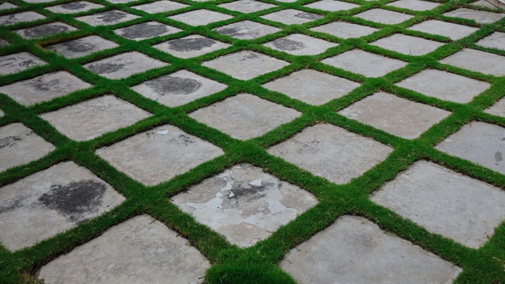 Ein Steinweg, auf dem Gras wächst